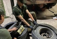 Detienen en Corrientes, en la frontera con Brasil, a un taxista buscado en Salta por participar en un transporte de cocaína