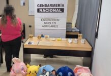 Boliviana salió de Salta en un colectivo de tour de compras con cocaína en peluches