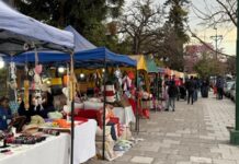 Detenido al intentar robarle a un artesano en la Plaza Güemes