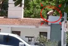 Fugas y miedo: El hogar Apapachar tiene en vilo a los mercedeños