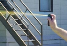 Fue detenido tras arrojarle gas pimienta a un Policía e intentar robarle el arma