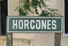 Cayó una avioneta en una finca salteña cerca de Horcones en Rosario de la Frontera