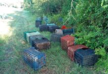 Se robó 170 jaulas utilizadas para la cosecha de naranjas en Pichanal