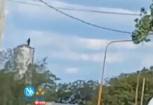 Video: una joven sufrió graves heridas al arrojarse desde un elevado tanque de agua