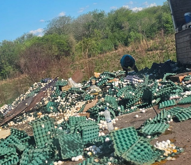 los huevos por el piso