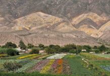 Ni Trevelin ni Purmamarca: dos pueblos argentinos fueron elegidos entre los mejores del mundo