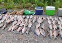Multan a pescadores furtivos en Lumbreras