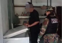 Decomisaron pollos en mal estado en un comercio de Orán