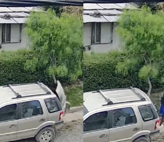 Robo un cochecito de un auto y la mujer que lo compro terminó acusada por encubrimiento