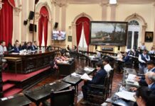 El Senado aprobó un proyecto que garantiza la difusión de los trámites de adopción y de la nómina de menores