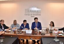 El Senado analizó con Abogados y Magistrados la reforma del Código Procesal Penal