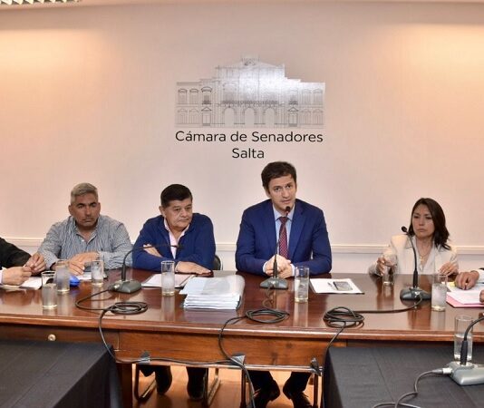 El Senado analizó con Abogados y Magistrados la reforma del Código Procesal Penal