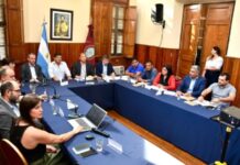 Presentaron en el Senado el proyecto de cobre Taca Taca, primera mina de clase mundial en Salta
