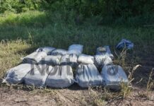 Encontraron 200 kilos de marihuana ocultos en un campo en Urundel