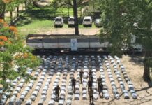 Camionero boliviano detenido en Urundel con 4.700 kilos de hojas de coca