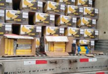 Camionero boliviano ingreso a Salvador Mazza con 50 kilos de cocaína ocultos en una carga de bananas