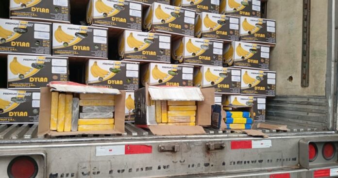 50 kilos de cocaina entre bananas