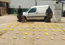 Jujeño salió de Orán en una Kangoo con 52 kilos de cocaína ocultos en un doble fondo