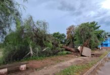 Fuerte viento, lluvia y caída de granizo en Orán y Colonia Santa Rosa