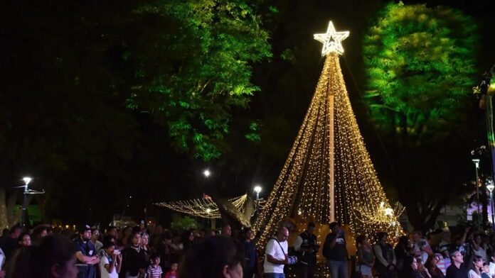 arbol de navidad de r frontera