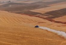 Sufrió más de 25 fracturas, ganó dos veces el Rally Dakar en motos y se reinventó en autos: el renacer de Kevin Benavides