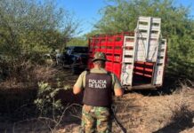Delincuentes sorprendidos en R° de la Frontera cuando intentaban robar ganado