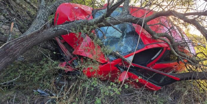 cuatro heridos en el galpón