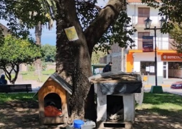 cucha de los perros en rosario de lerma