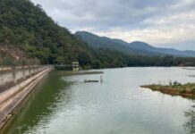 Dique Itiyuro: ayer no había contaminación, hoy hay algas tóxicas. ¿En qué quedamos?