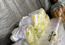 En las fiestas patronales de Loreto vendía milanesas de papel higiénico y cartón