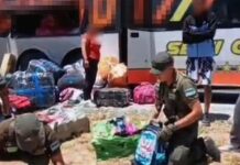 Tres mujeres que salieron de Orán ocultaron 65 kilos de marihuana mochilas infantiles