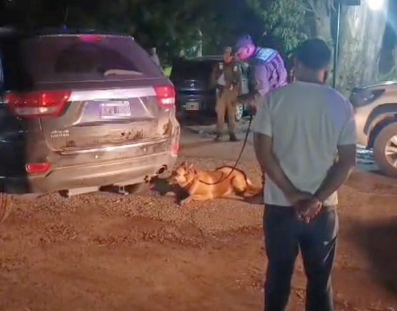 perro marca camioneta con cocaina