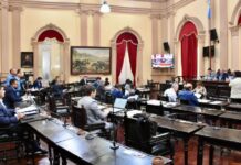 Senadores salteños solicitaron a los legisladores nacionales que impulsen la Ley de Derribo