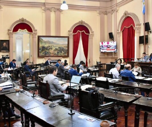 Senadores salteños solicitaron a los legisladores nacionales que impulsen la Ley de Derribo
