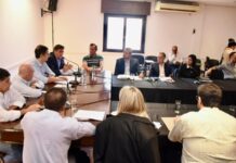 Senadores analizan proyectos para fortalecer la gestión de seguridad en Salta