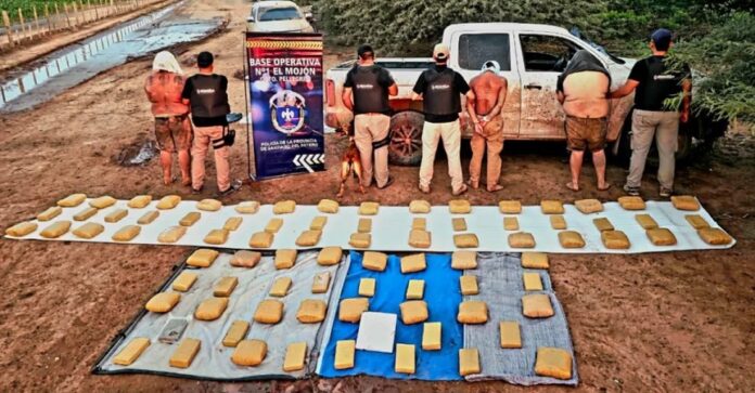 113 kilos de marihuana