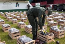 Salieron de Orán en un camión con 31 kilos de cocaína ocultos en una carga de berenjenas