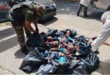 Decomisaron 60 kilos de carne en mal estado en un local comercial de Barrio El Rosedal