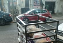 El dramático relato de la policía que rescató a la beba abandonada en un tacho de basura en San Martin