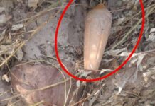 Otra vez apareció un artefacto explosivo sísmico en una zona rural de Tartagal