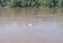 Pasajeros de un colectivo alertaron sobre un cadáver flotando en el Río Salí