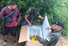 Boliviano cruzo de Bermejo a Aguas Blancas cargando un freezer con 31 kilos de cocaína