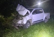 El intendente de Salvador Mazza chocó con una vaca en la ruta 34