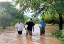 Mario Mimessi “mírenme ayudando”