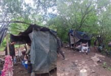 La Municipalidad desalojó a los “okupas” del cerro San Bernardo