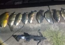 Un hombre pescaba con una ballesta que tenía adosado un reel en El Tunal