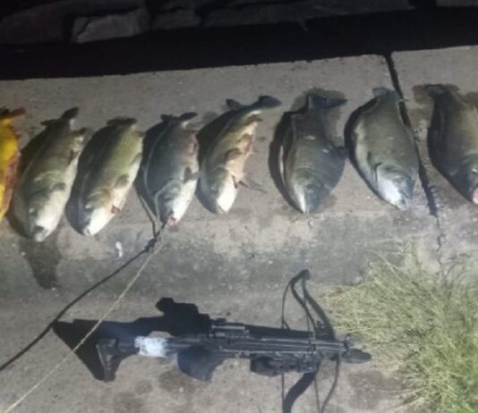 Un hombre pescaba con una ballesta que tenía adosado un reel en El Tunal