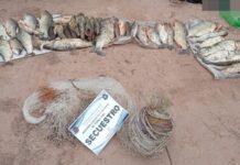 Sancionan a 3 hombres, secuestran 5 redes y 39 pescados en la ruta 16 en El Galpón