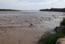 La crecida récord del Río Pilcomayo pone en alerta a 60 familias de la comunidad Wichi en el norte