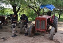 13 allanamientos y 7 detenidos en Tartagal por el robo de madera